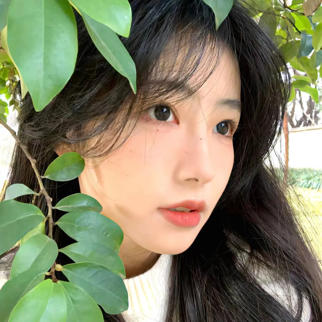 裙子里的戏剧